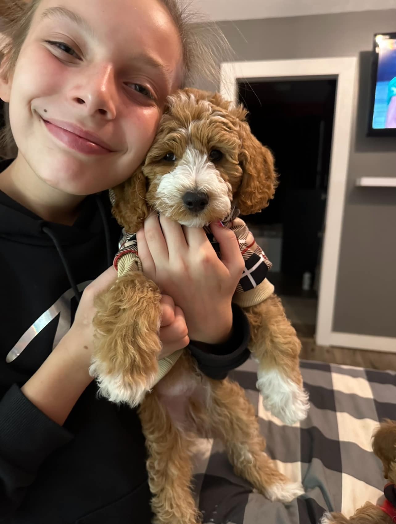 Owner holding fluffy doodle puppy