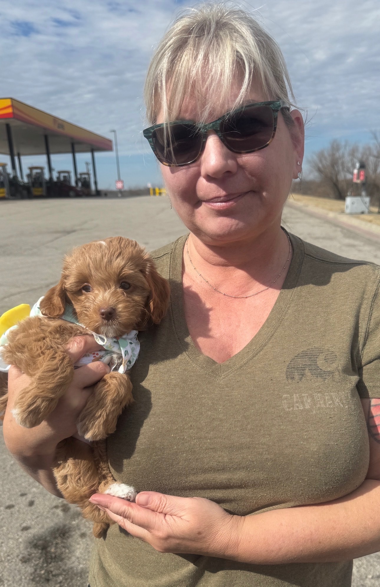 Puppy playing outdoors with child