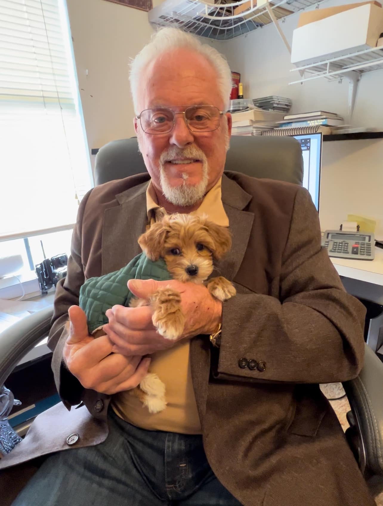 Fluffy apricot puppy indoors
